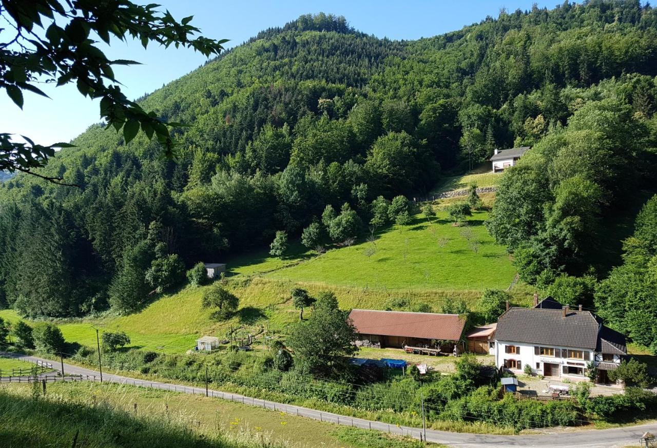 Gite Le Creux Chene Rombach-le-Franc Exterior photo