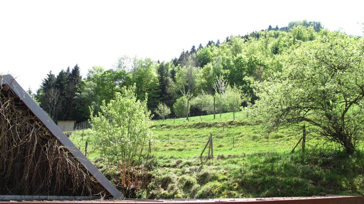 Gite Le Creux Chene Rombach-le-Franc Exterior photo